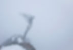 Envol brouillard Burger.jpg