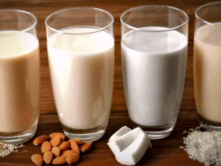 Leche Vegana