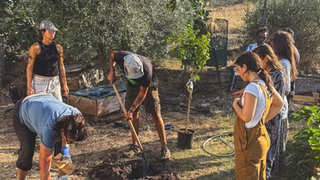 Monthly Report: Paréa Lesvos September 2025