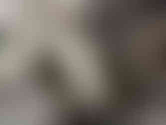 Botleys mansion white stairs into Atrium