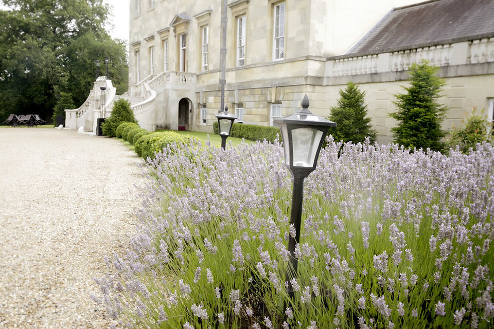 botleys mansion lavender
