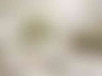 Botleys mansion white hydrangeas table decorations