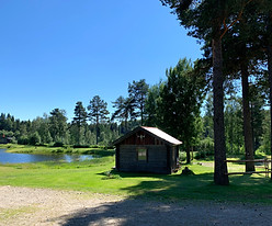 IMG_7228.jpeg