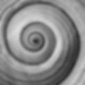 Spiral%2520shell%25202_edited_edited.jpg