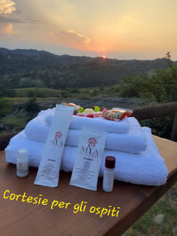 7a465fcb-11f0-4251-89b4-3aa93516bdbb