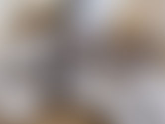 The Pilates Programme ring binders