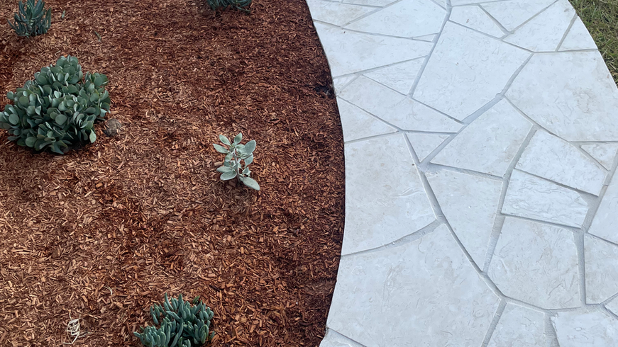 Forrester's Beach NSW