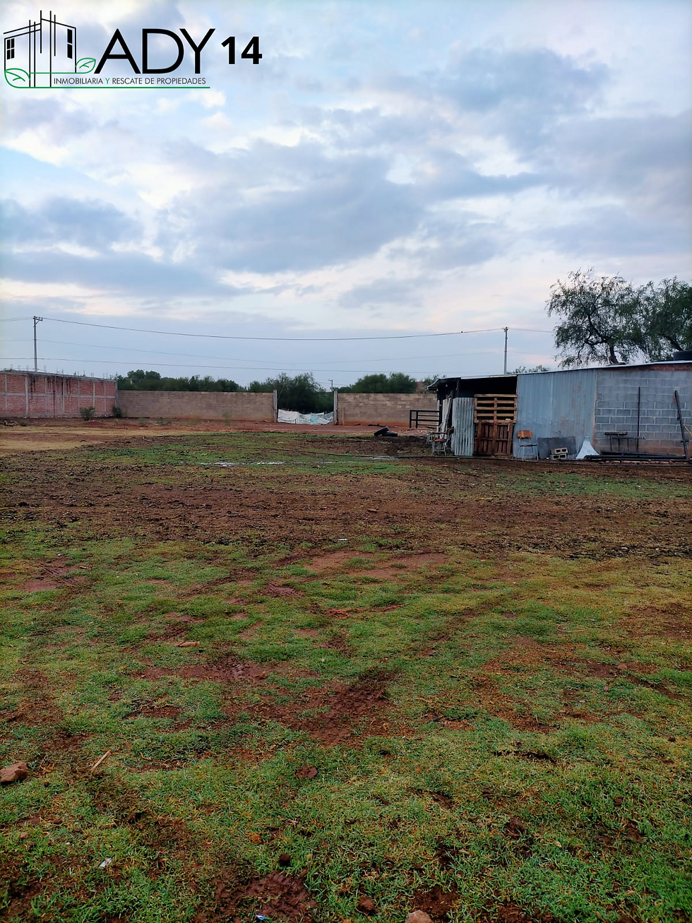 Miniatura: Venta de terreno en Martínez Domínguez, Guadalupe, Zac.