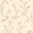 star berry.jpg