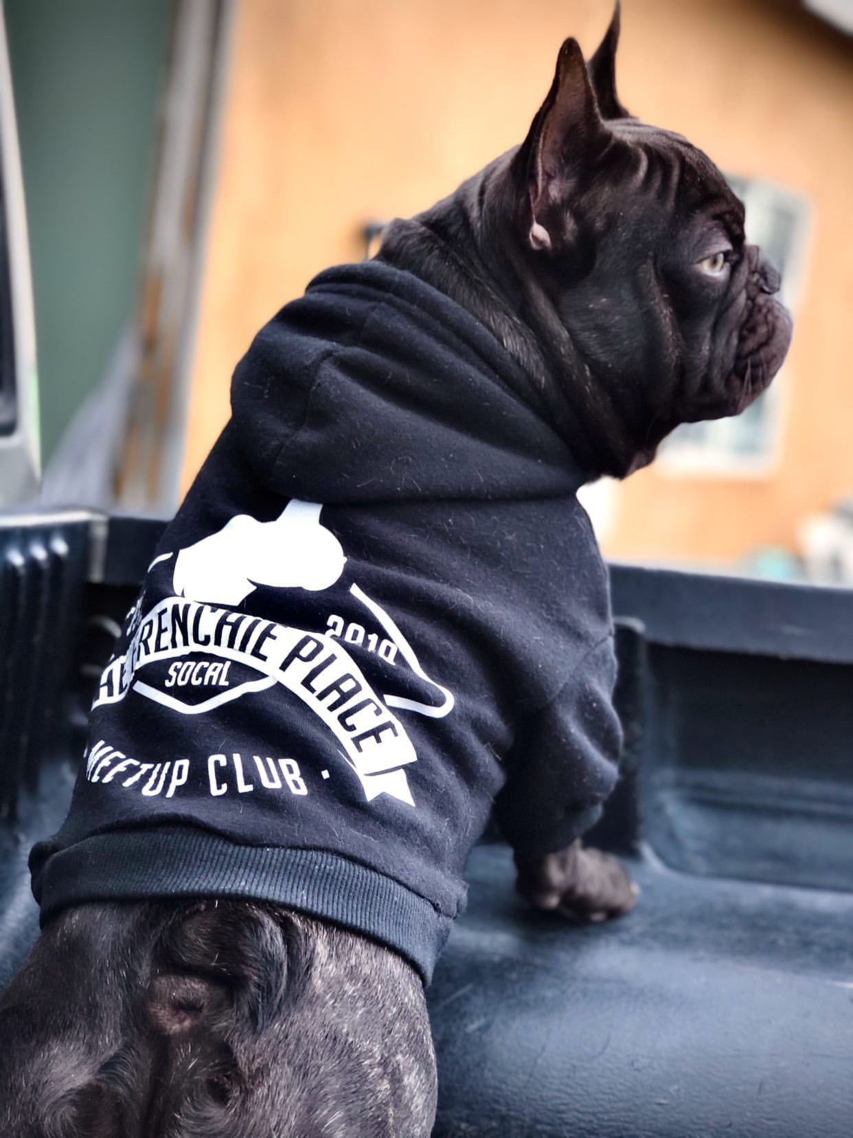 The Frenchie Place Sweater