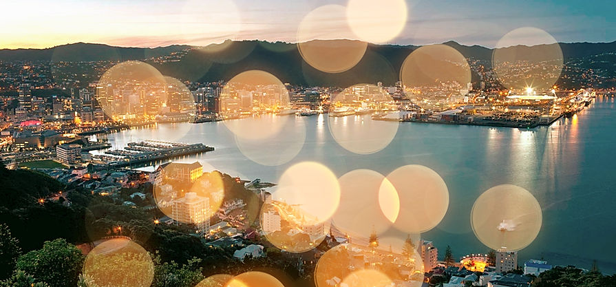 View From Above of Wellington Region