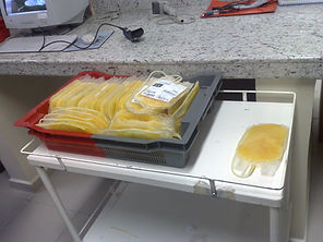 03062009253.jpg