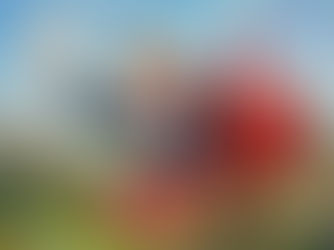 Illustration of Congress woman Michelle Fishbach crawling out of a mail box with a letter.