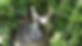 f6a3e998-a067-4b18-981b-f7c2533ca123.JPG