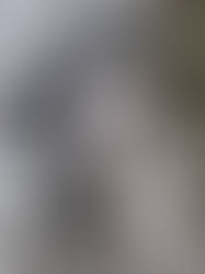 EARTH DAY: A Tribute to Carrie Lee Dodson Nelson