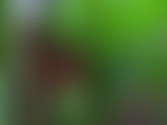 Comment on Wildlife Viewing Plan