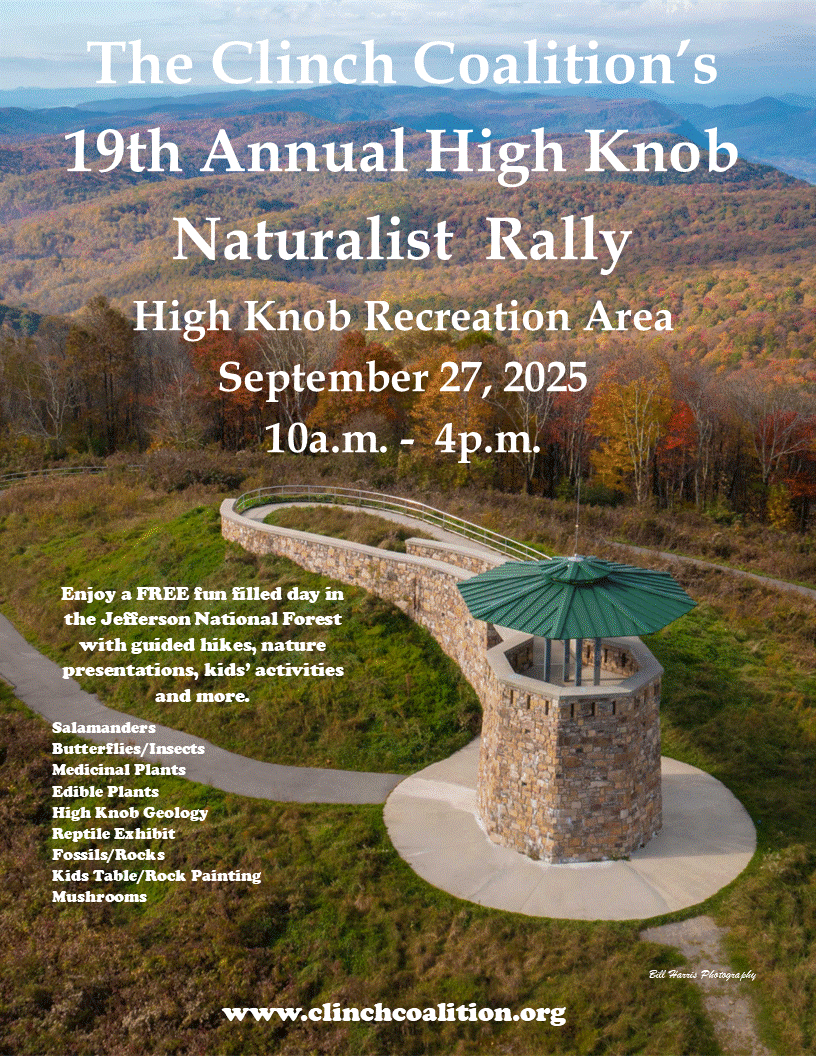 Rally Poster 25.gif