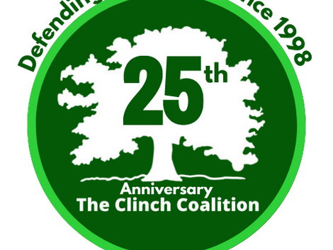 Celebrate Our 25th Anniversary from the Comfort of Home!