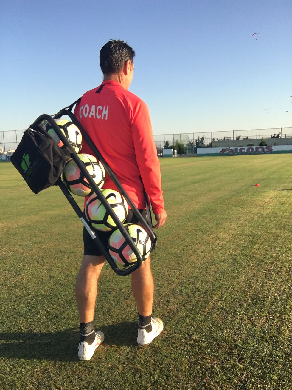 4 Ball Transportaball