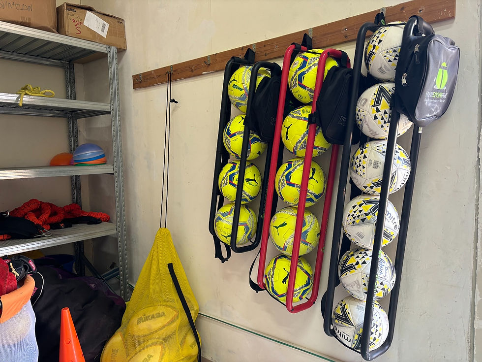 Thumbnail: 5 ball Transportaball