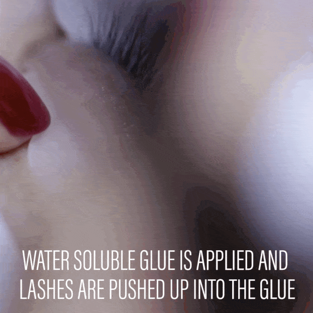 lash lift gif1.gif