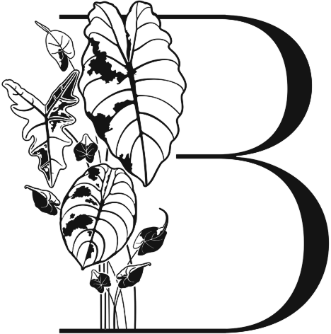 BB_Logo_only_1K_BLK_TRIM.png