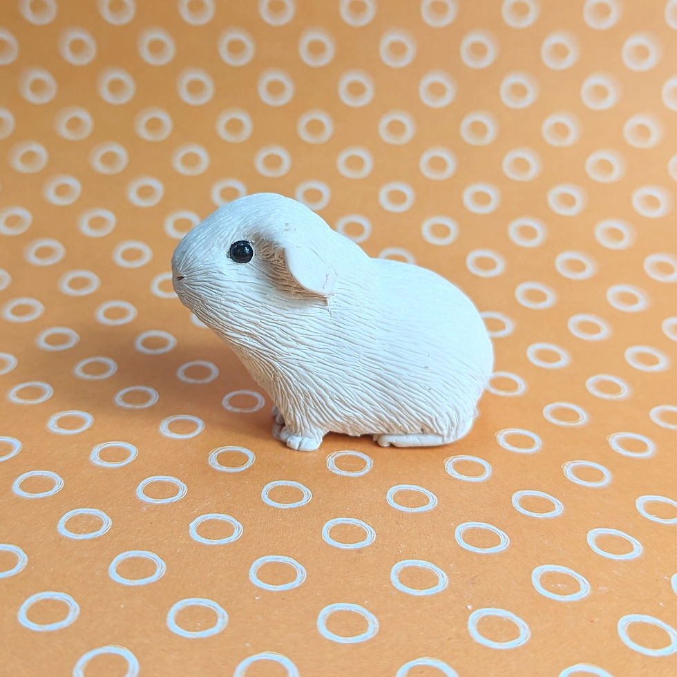 Thumbnail: Paint your own AMERICAN SMOOTH HAIRED guinea pig - Beatrice