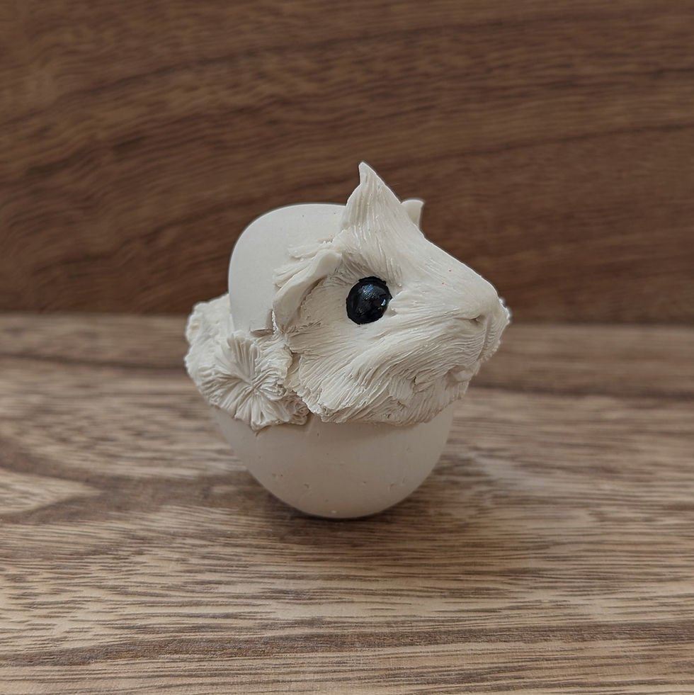 Thumbnail: PAINTAPET Guinea Pig in an Egg