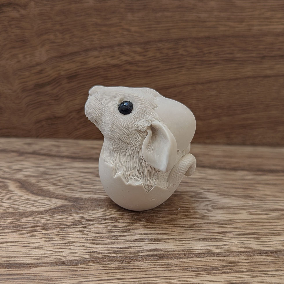 Thumbnail: PAINTAPET Rat in an Egg