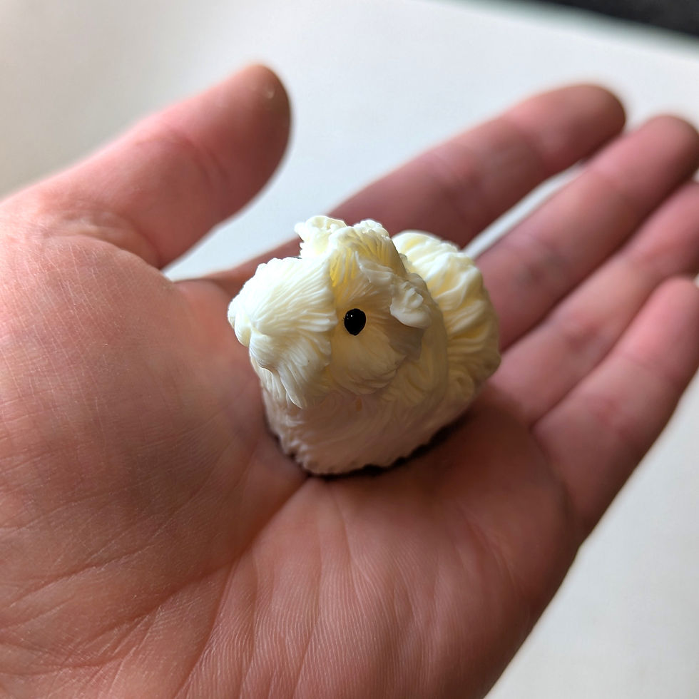 Thumbnail: Paint your own guinea pig with crazy fur - Dylan