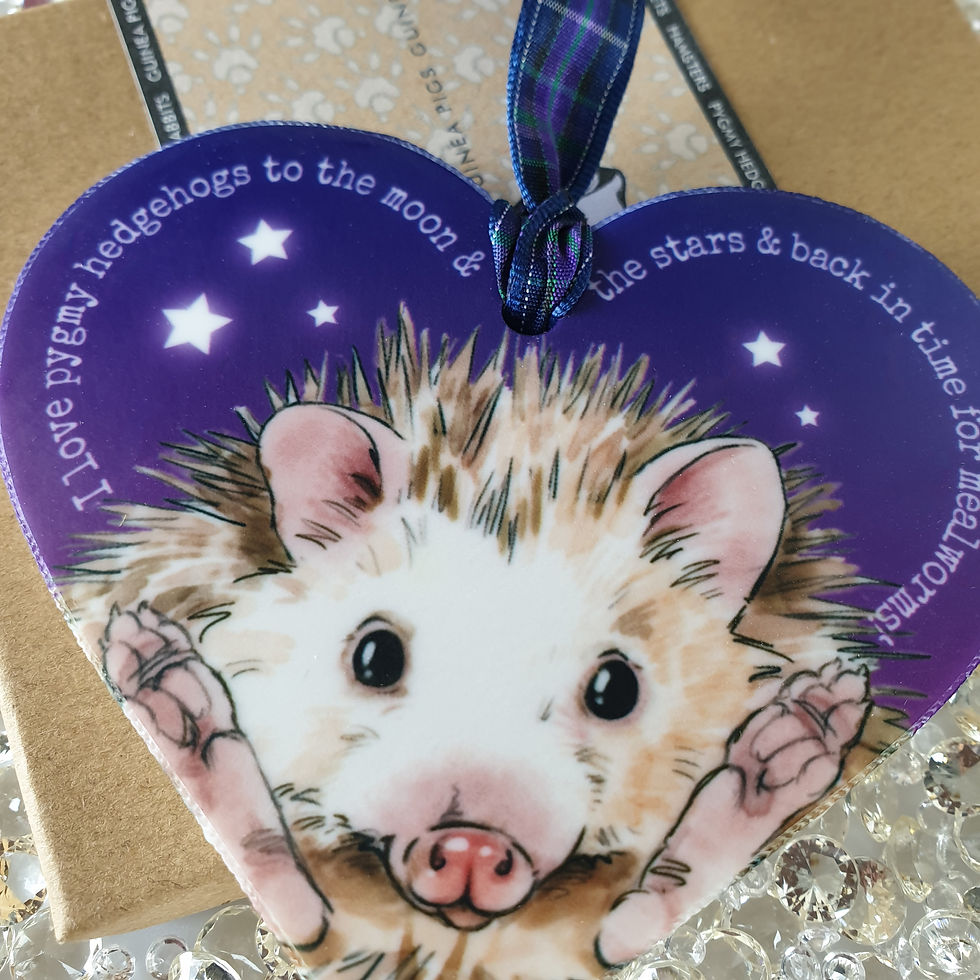Thumbnail: Pygmy Hedgehog Hanging Tile - Purple or cream