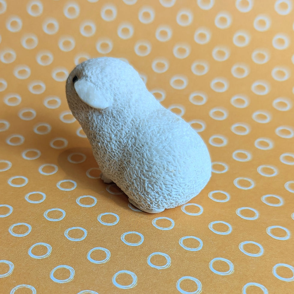 Thumbnail: Paint your own TEDDY/REX guinea pig - Frizzy