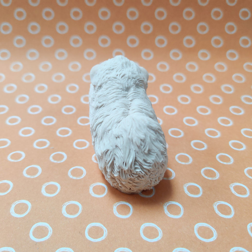 Thumbnail: Paint your own alpaca guinea pig - Fluffy