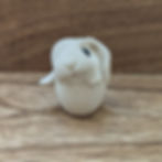 Thumbnail: PAINTAPET Rabbit in an Egg