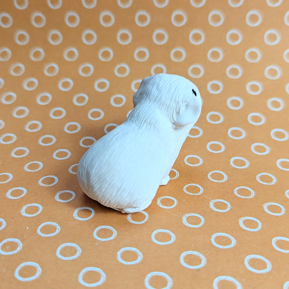 Thumbnail: Paint your own AMERICAN SMOOTH HAIRED guinea pig - Beatrice