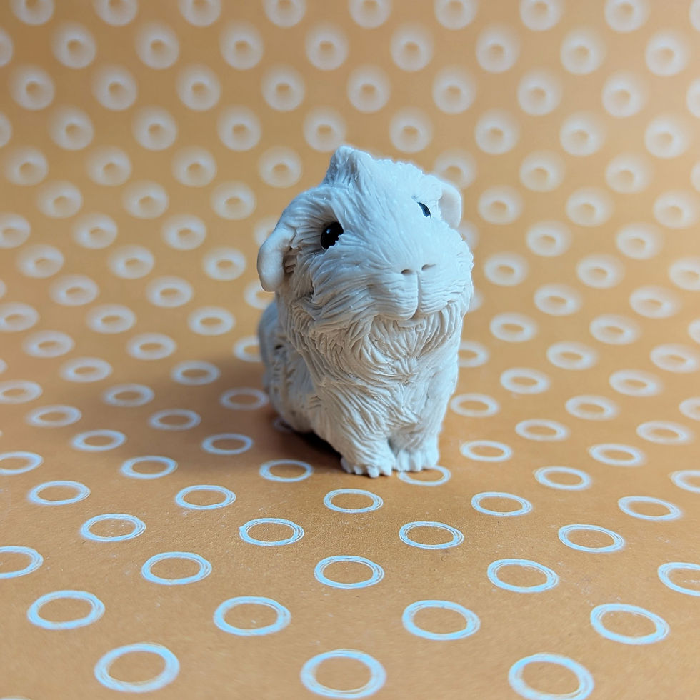 Thumbnail: Paint your own ABYSSINIAN guinea pig - Harry