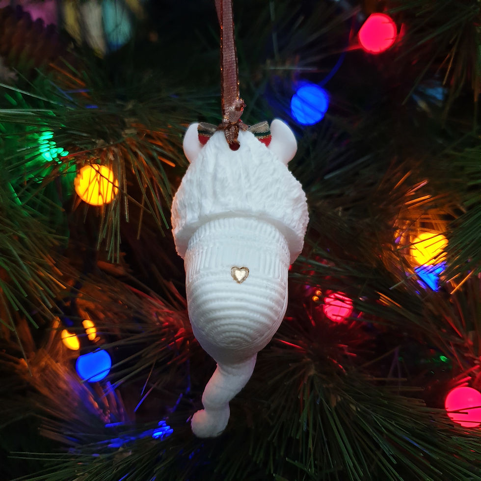 Thumbnail: Paint your own hamster Christmas tree ornament