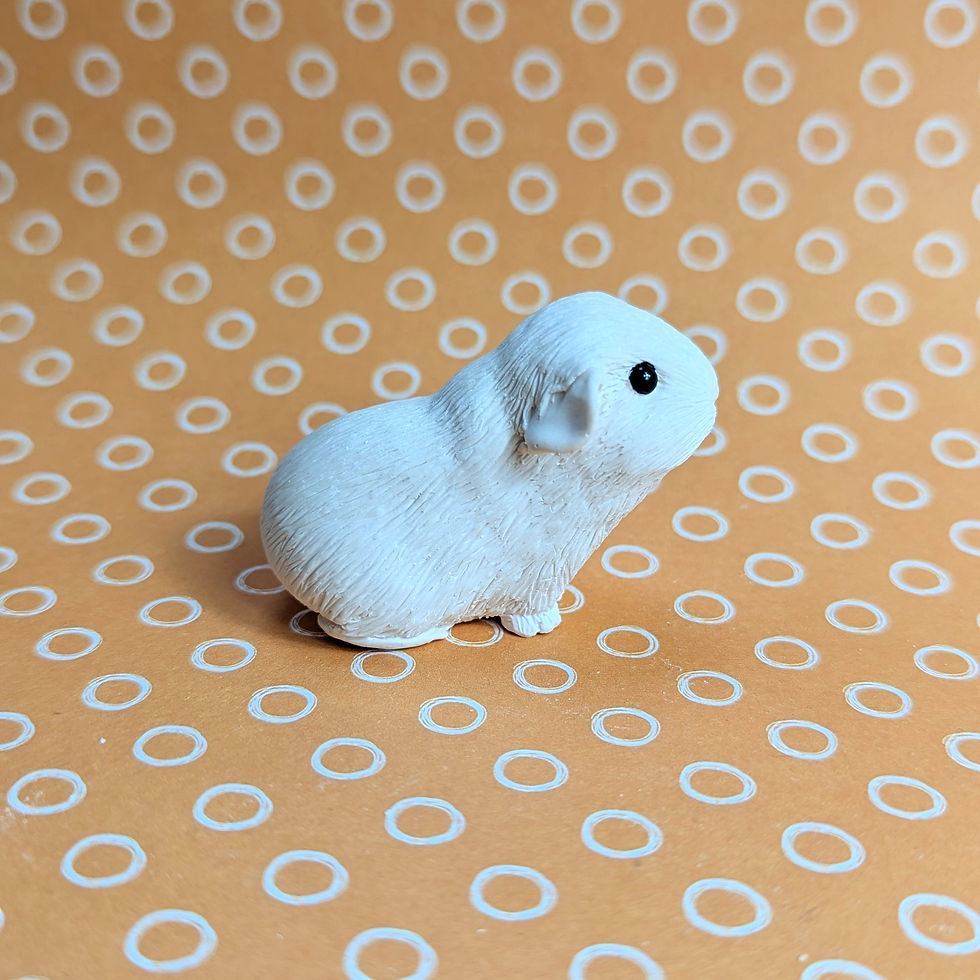 Thumbnail: Paint your own AMERICAN SMOOTH HAIRED guinea pig - Beatrice