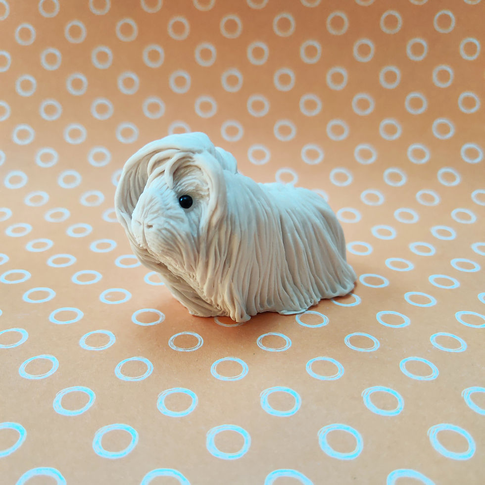 Thumbnail: Paint your own PERUVIAN guinea pig - Fluffy