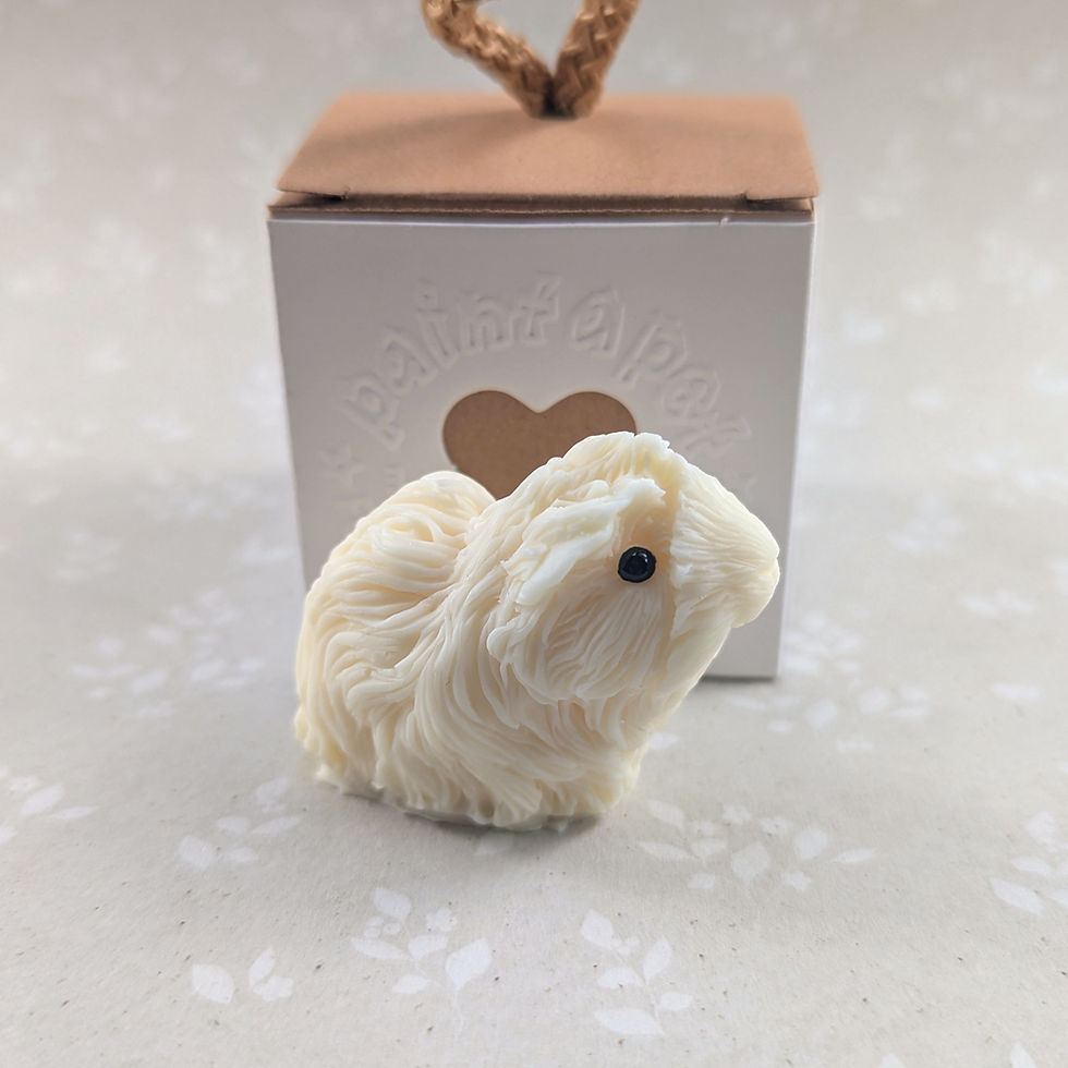 Thumbnail: Paint your own guinea pig with crazy fur - Dylan