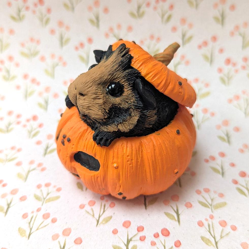 Thumbnail: Pumpkin patch guinea pig