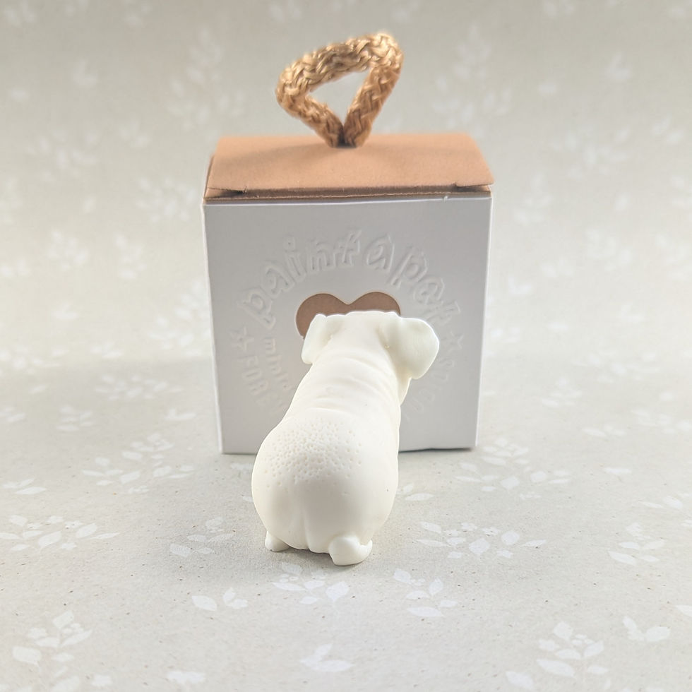 Thumbnail: Paint your own SKINNY/BALDWIN guinea pig - Charlie