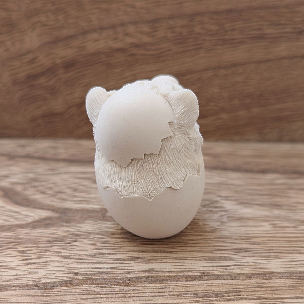 Thumbnail: PAINTAPET Ferret in an Egg