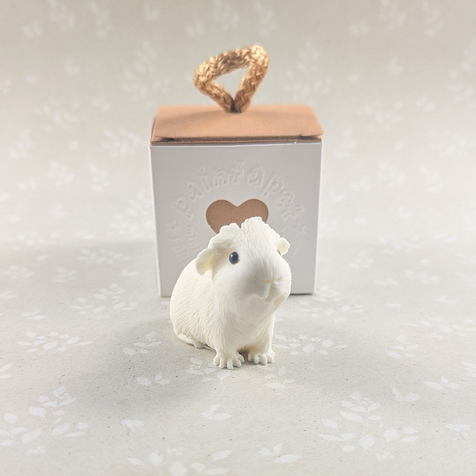 Thumbnail: Paint your own CRESTED guinea pig - Rosie