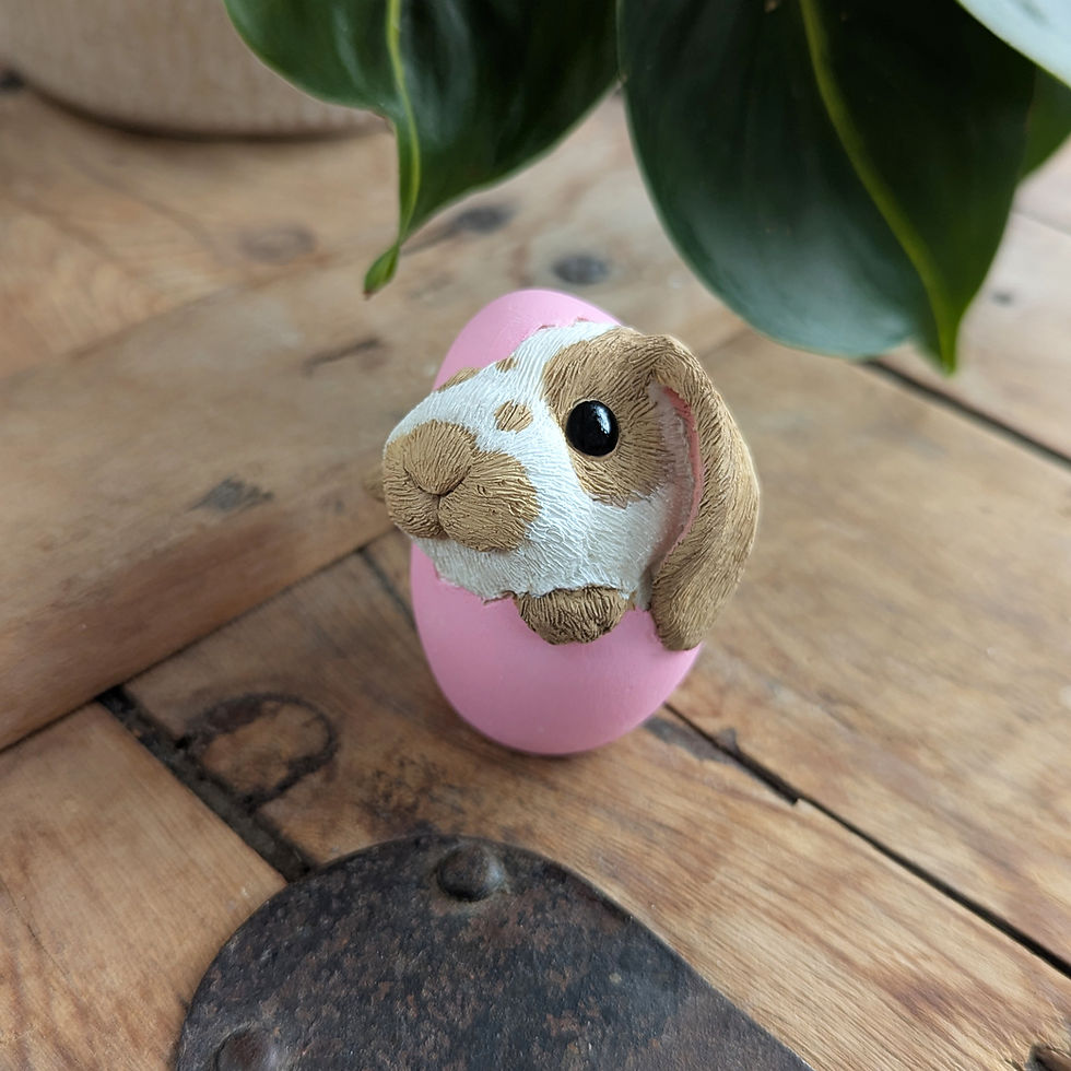 Thumbnail: Baby Bunny Rabbit in an Egg