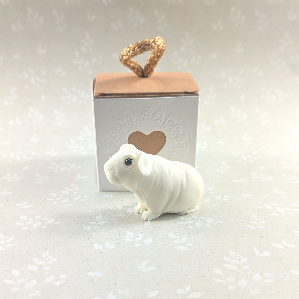Thumbnail: Paint your own SKINNY/BALDWIN guinea pig - Charlie