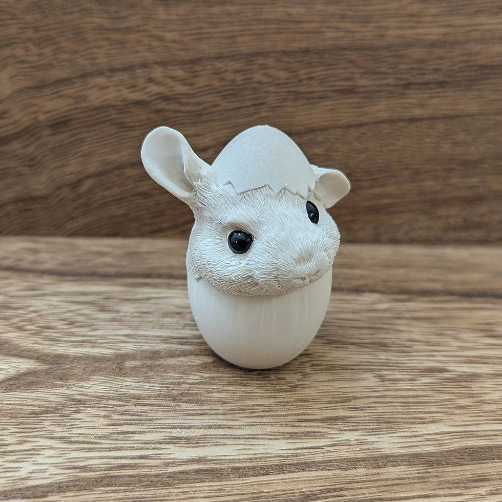Thumbnail: PAINTAPET Chinchilla in an Egg
