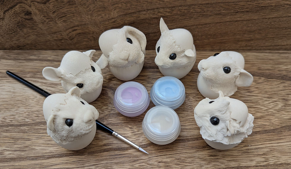 Thumbnail: PAINTAPET Chinchilla in an Egg