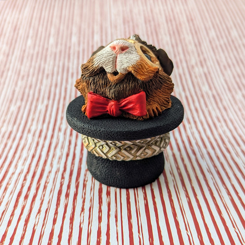 Thumbnail: Sir Fluffbutt Guinea Pig