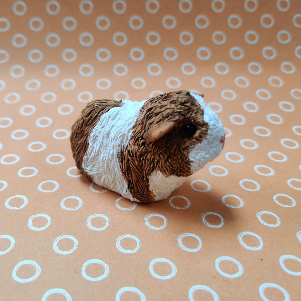 Thumbnail: Paint your own alpaca guinea pig - Fluffy